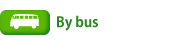 By bus